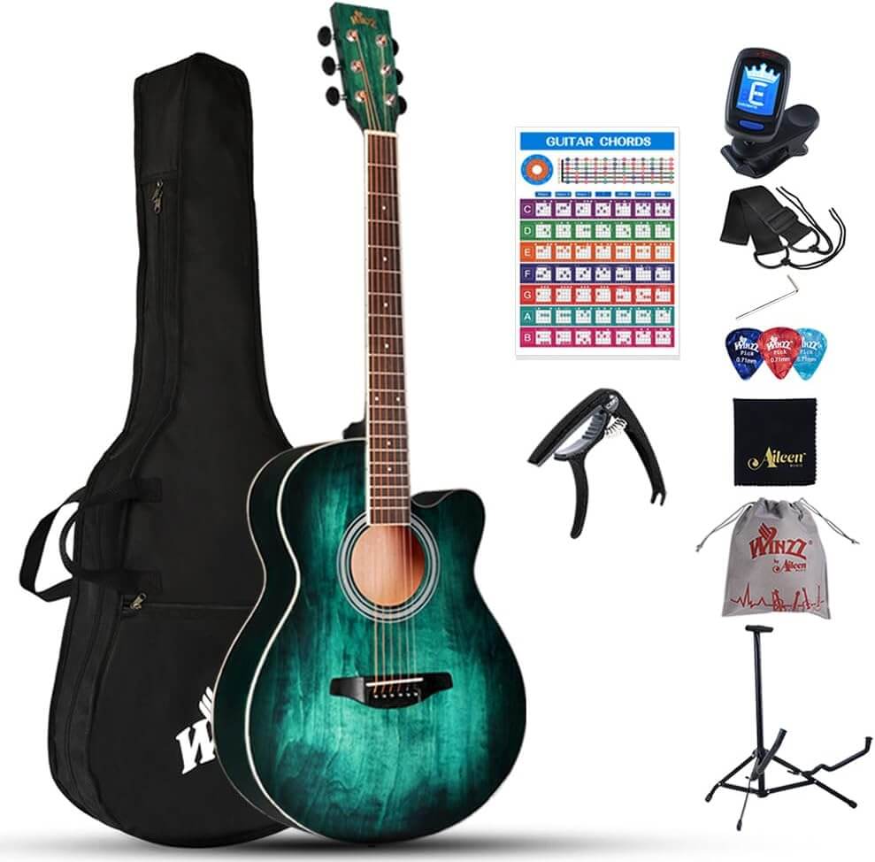 Winzz 40 Inches Acoustic Steel-string Guitar Beginner, Elegant Unique Color Design 