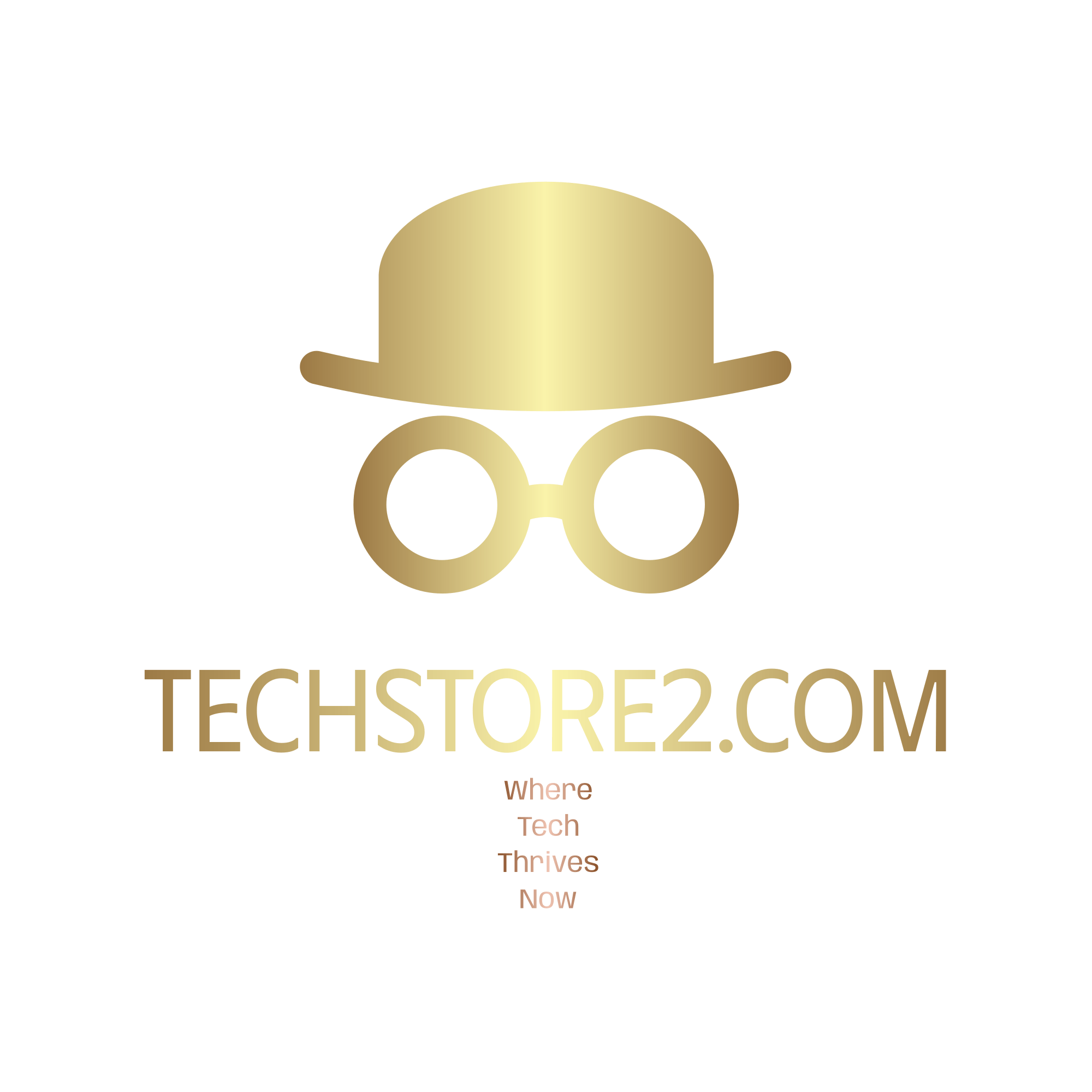 Techstore 2